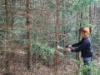 Freischneiden einer Schussschneise 5
